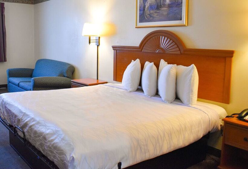 Hotel Americas Best Value Inn & Suites Haltom City Ft. Worth