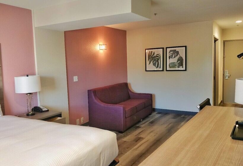 בית מלון כפרי Arya Inn & Suites