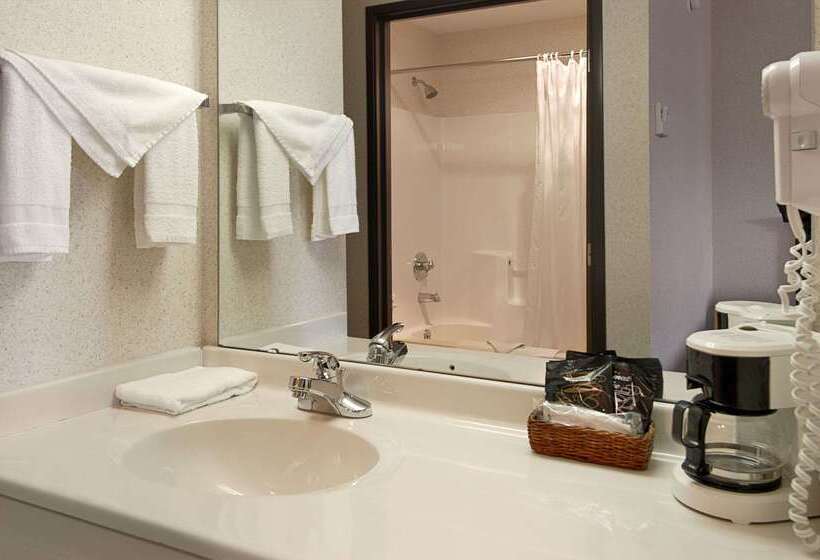 בית מלון כפרי Baymont By Wyndham Dowagiac