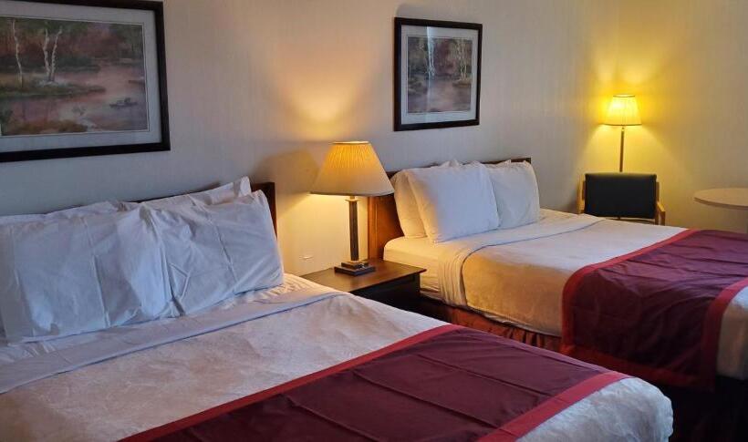 فندق Bellis Inn