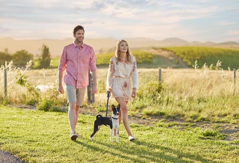 هتل Carneros Resort And Spa