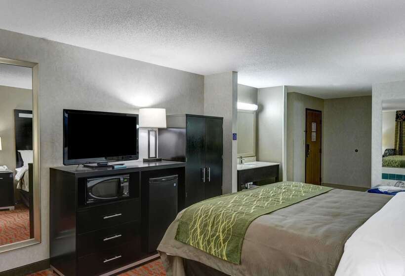 酒店 Comfort Inn