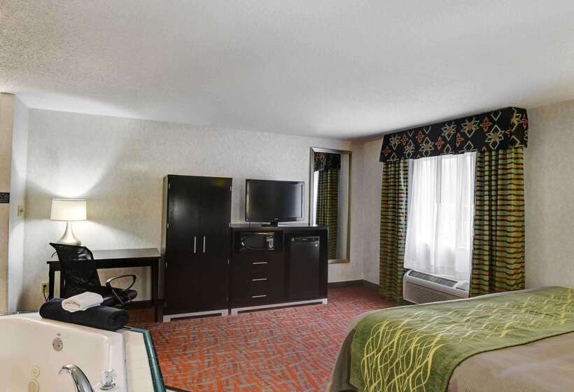 酒店 Comfort Inn