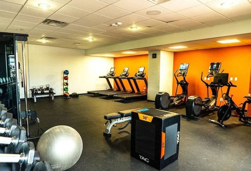 هتل Doubletree By Hilton Corpus Christi Beachfront