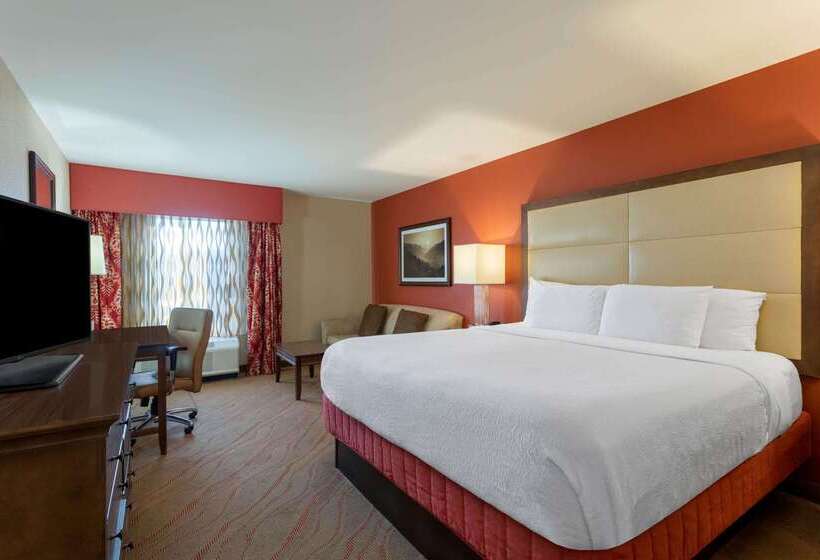 هتل La Quinta Inn & Suites By Wyndham Pigeon Forge