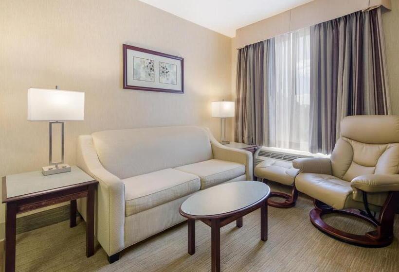 هتل Mainstay Suites Airport
