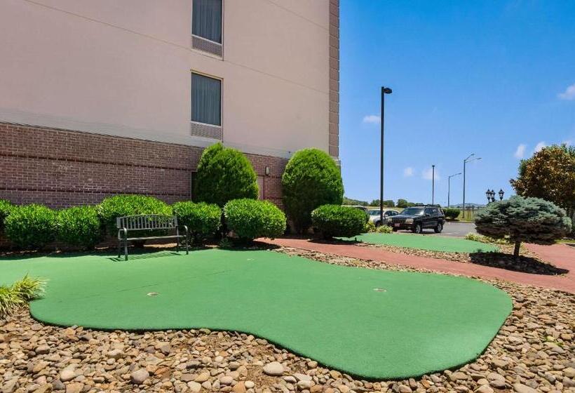 هتل Mainstay Suites Airport