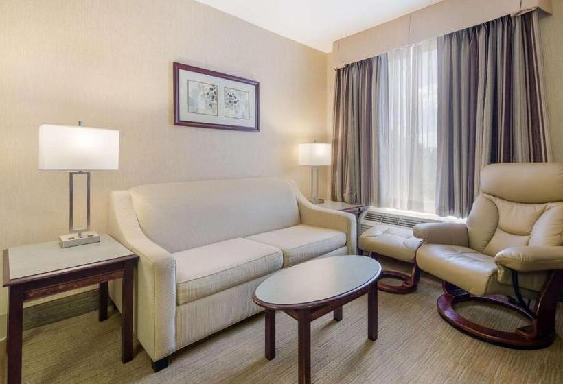 هتل Mainstay Suites Airport