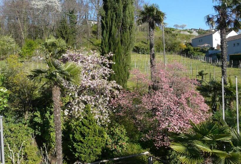 فندق Osteria Garni Americana