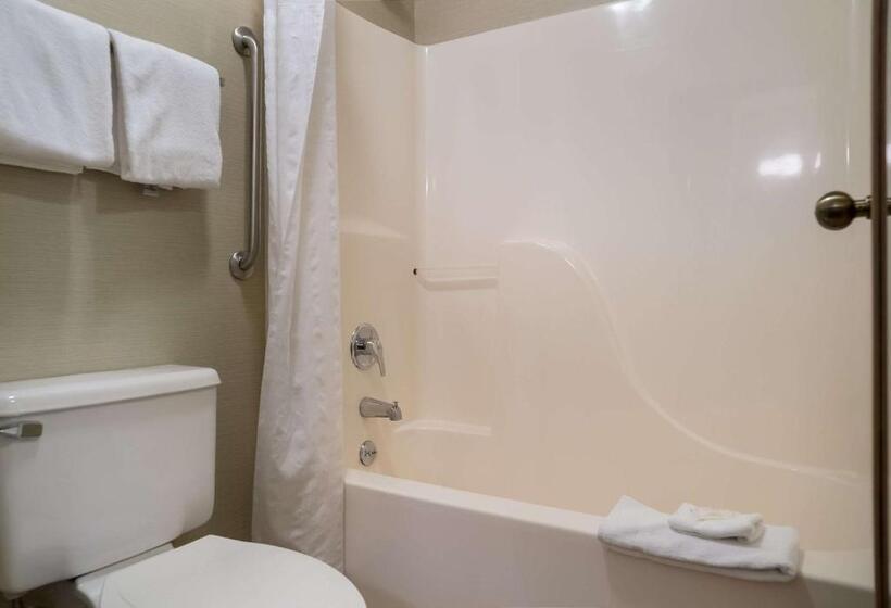 هتل Quality Inn Grand Blanc   Flint South