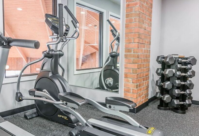 هتل Quality Inn Grand Blanc   Flint South
