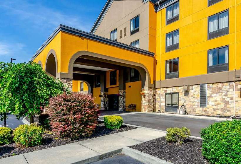 فندق Quality Inn & Suites