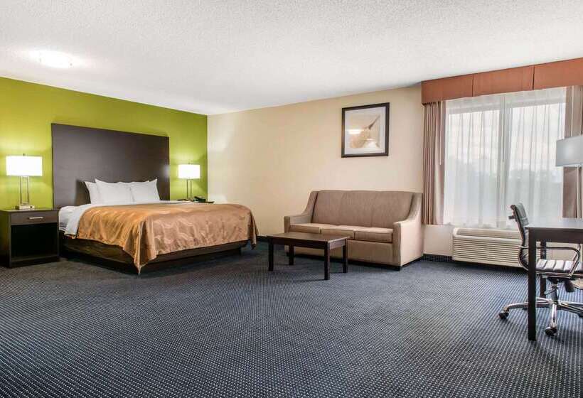 ホテル Quality Inn & Suites Anderson I69