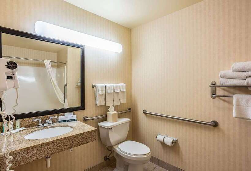 ホテル Quality Inn & Suites