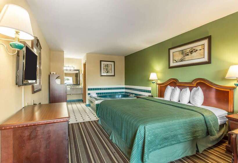 هتل Quality Inn & Suites Macon North