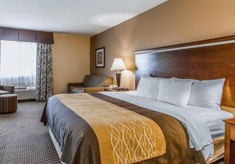 Отель Quality Inn & Suites