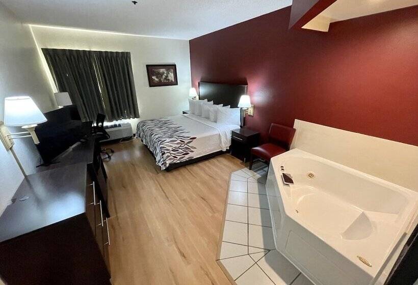 酒店 Red Roof Inn Clyde