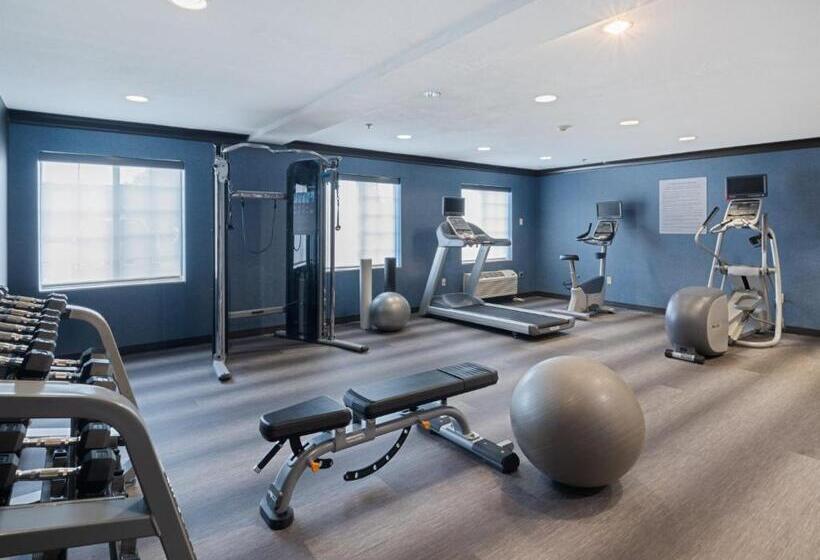 هتل Staybridge Suites Columbus Dublin, An Ihg