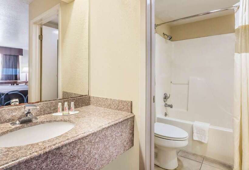 酒店 Super 8 By Wyndham San Antonio At I10
