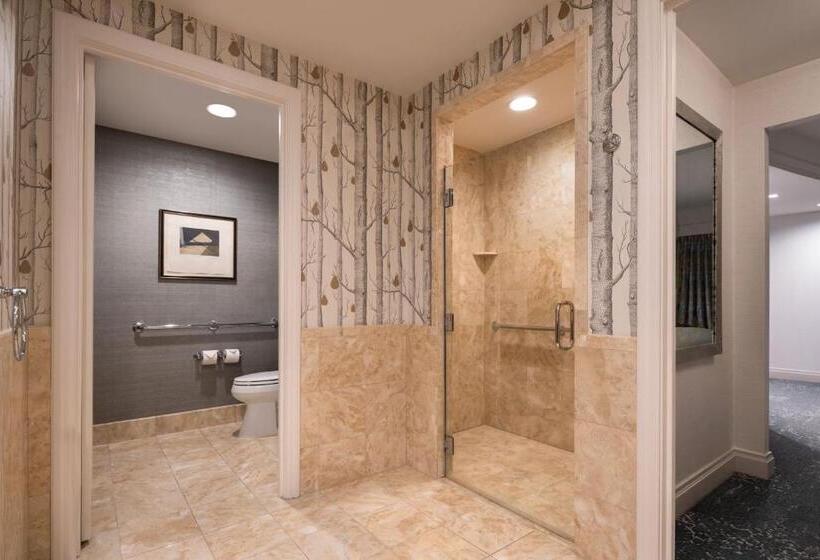 Fotos del hotel The Ritz-carlton, Boston:  29