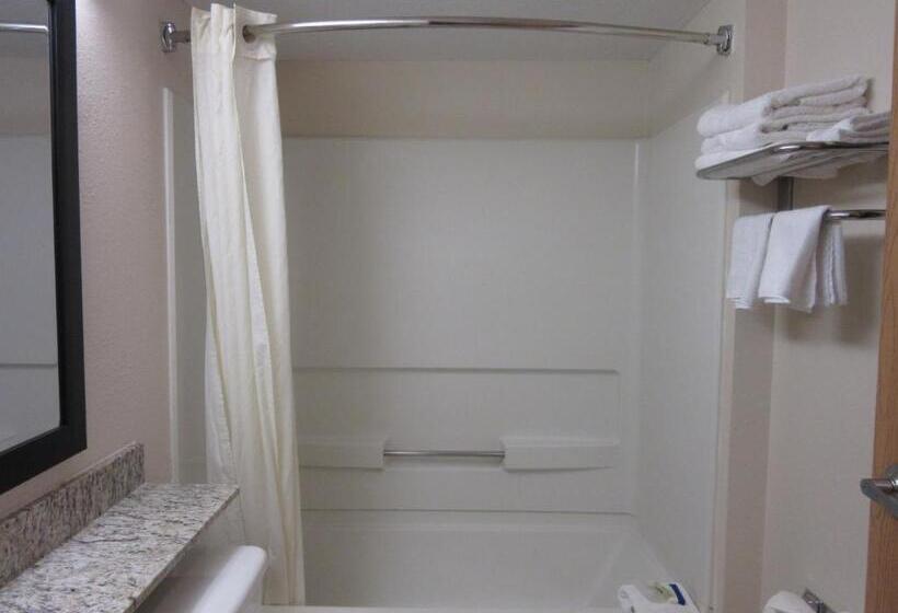 Microtel Inn & Suites By Wyndham Arlington/dallas Area