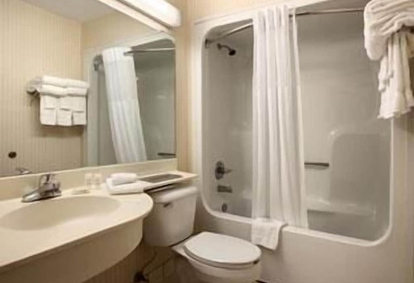 Microtel Inn & Suites By Wyndham Kannapolis/concord