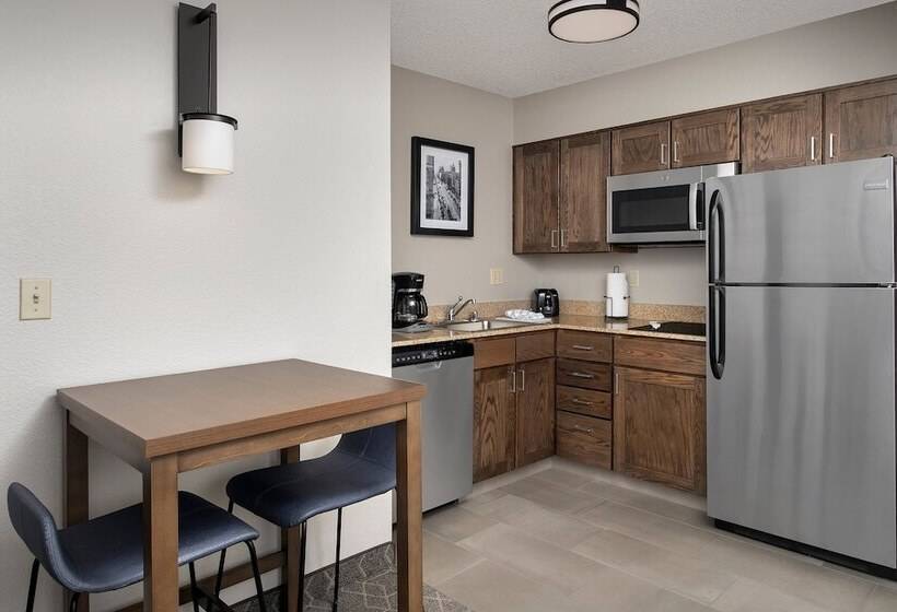 Residence Inn Denver South/park Meadows Mall