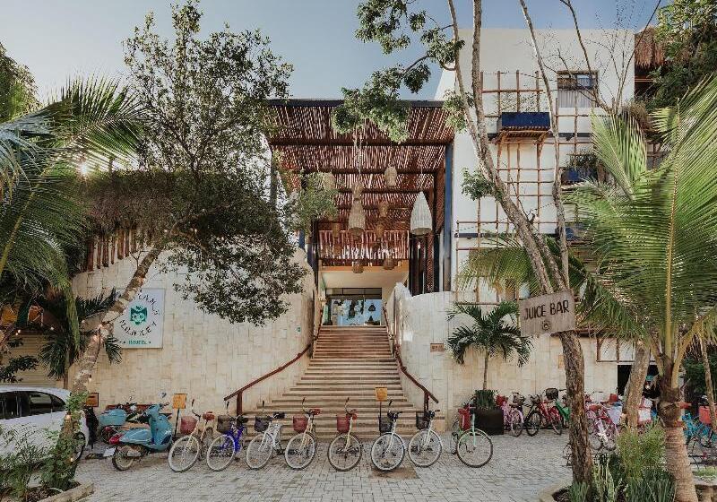 호스텔 Mayan Monkey Tulum | Social