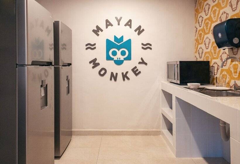 호스텔 Mayan Monkey Tulum | Social