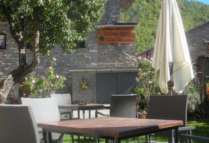 住宿加早餐  Casa Gallán