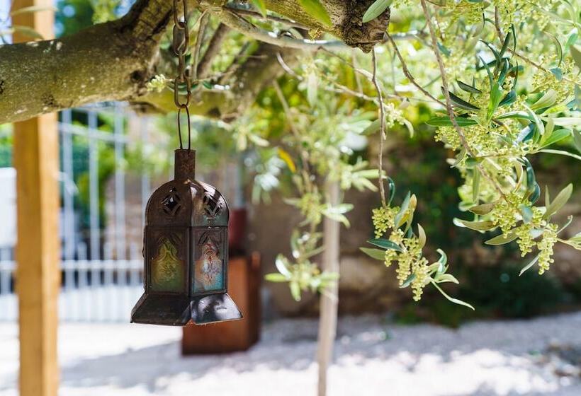 ベッドアンドブレックファースト Logement Onze  Chambres&gîtes