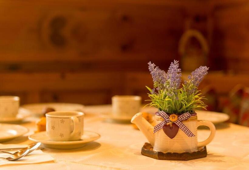 Garni Hotel Geier