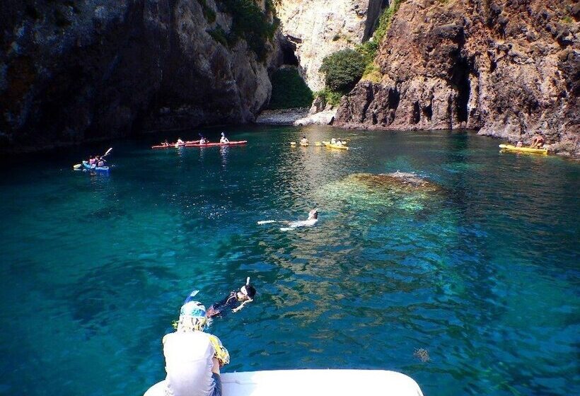 Guest House Darumaya   Hostel