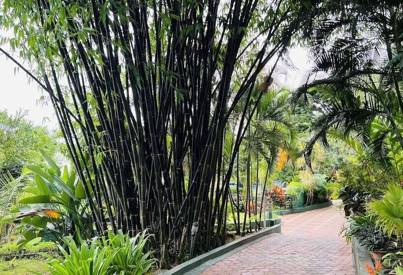 酒店 Coorg Jungle Camp Backwater Resort