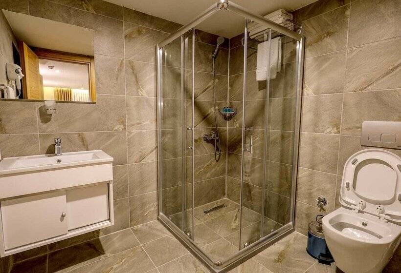 ホテル Grand Elmira Suites
