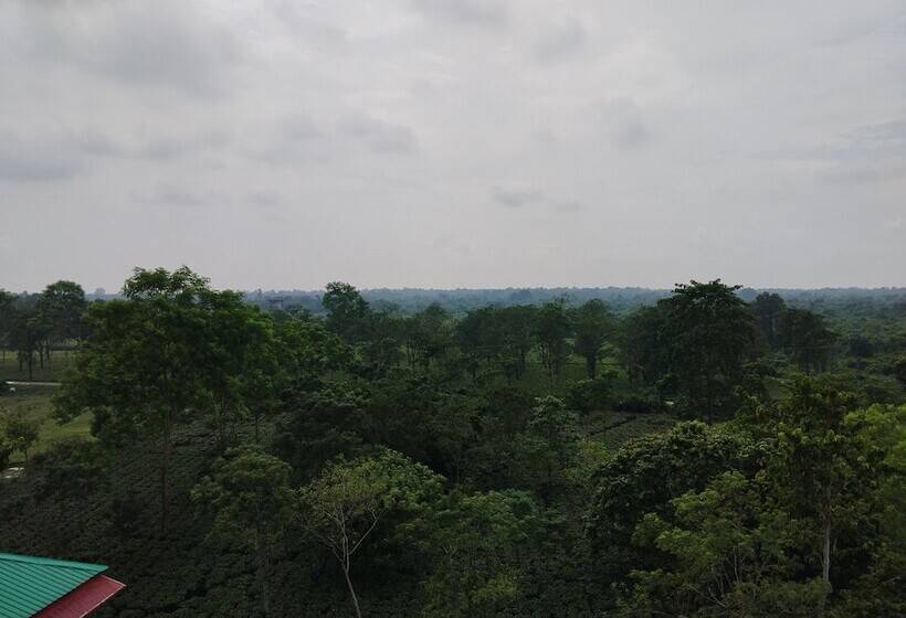 בית מלון כפרי Maa Greenery View