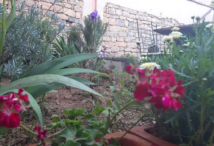 پانسیون Ecolodge Dar Itrane