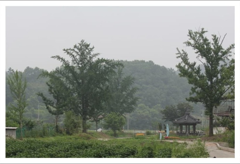 بنسيون Gwiae Traditional House