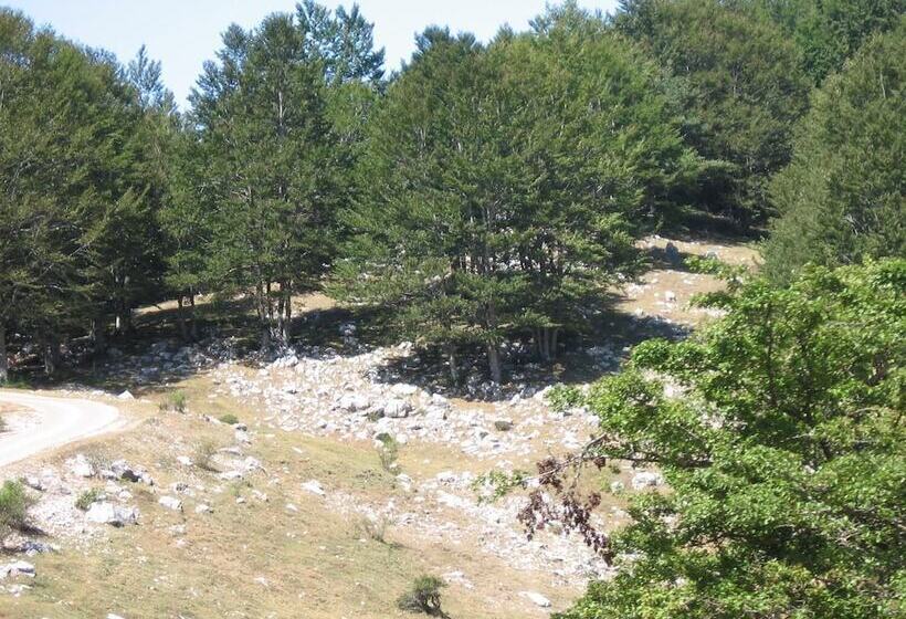 ペンション Immersi Nella Natura