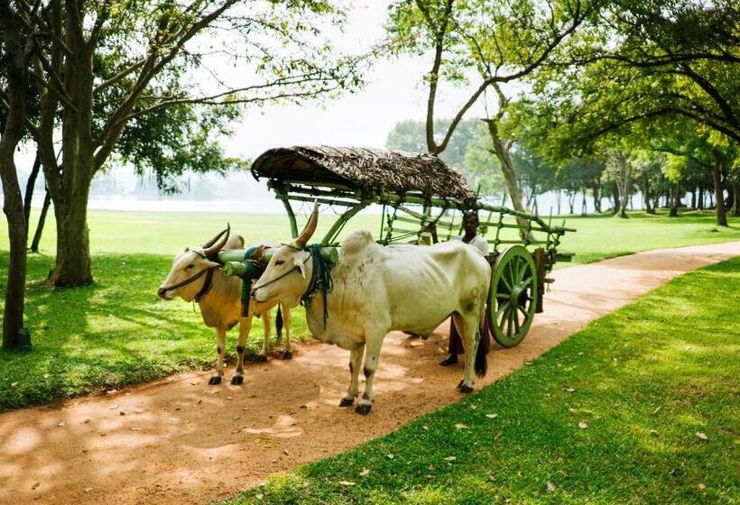 استراحتگاه Amaya Lake Dambulla
