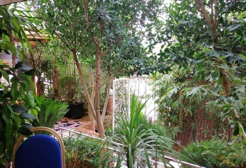 Senhaja Hotel   Hostel