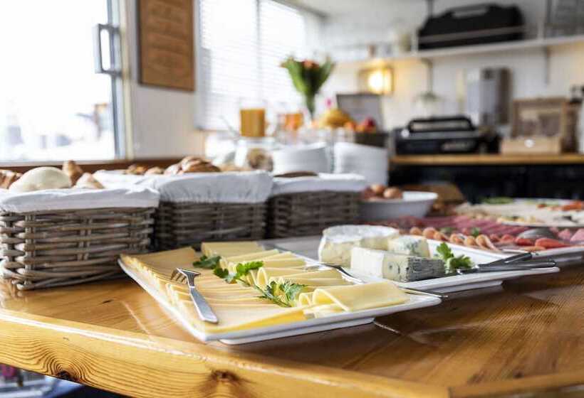 The Cabin Haarlem   Hostel