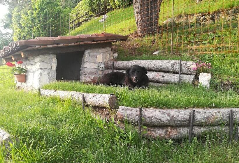 住宿加早餐  Callort