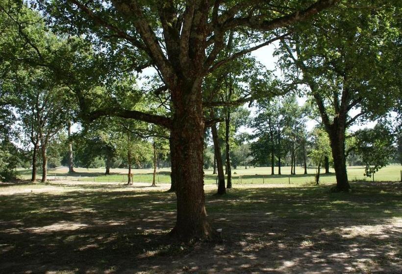 住宿加早餐  Domaine Du Bois Seguin