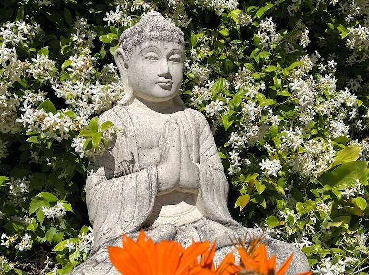 민박 Le Mas Aux Cedres   Teritoria