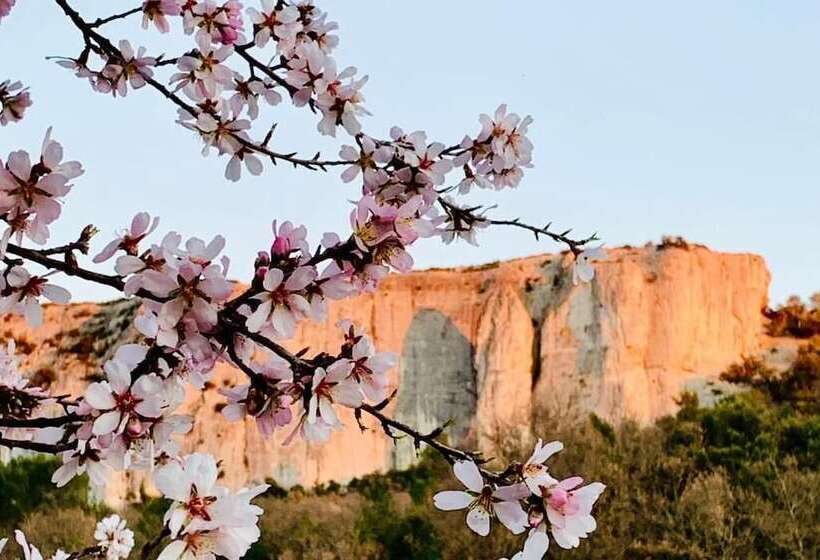 민박 Le Mas Aux Cedres   Teritoria