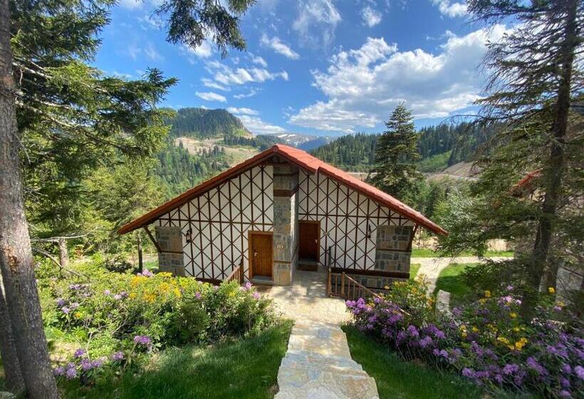 Foleya Mountain Resort Hotel & Villas