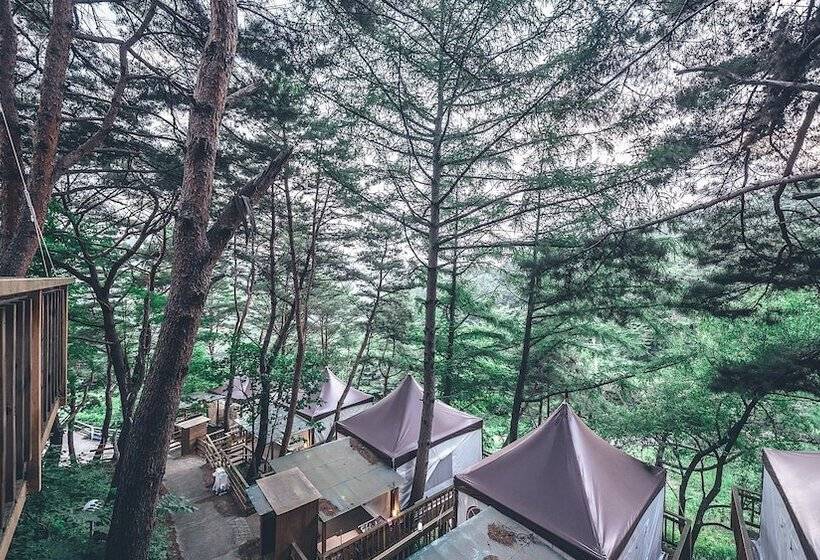 酒店 Couplestar In Forest Glamping