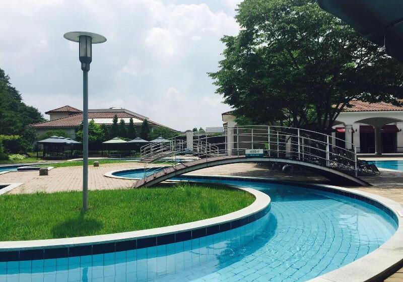 酒店 Damyang Spa And Tourist