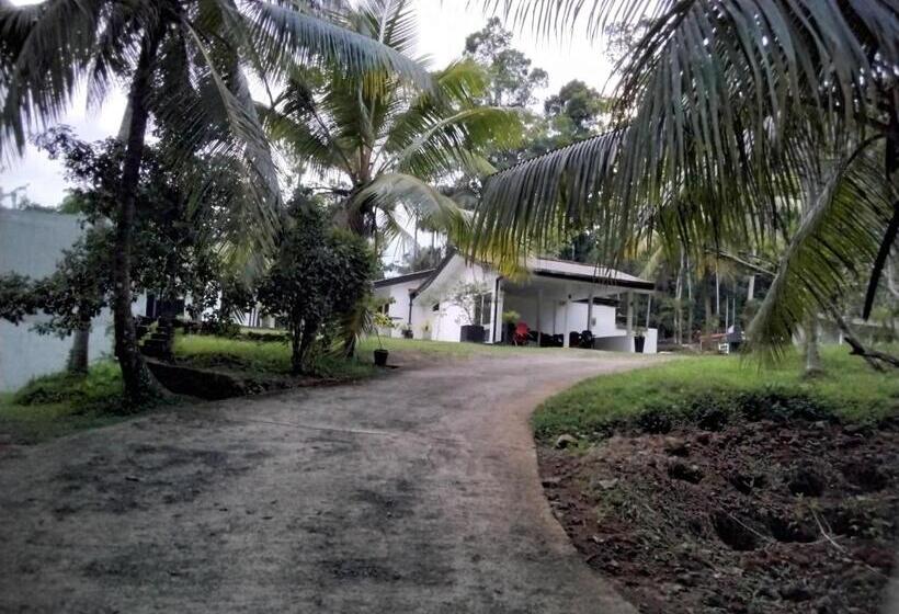 酒店 Miridiya Resort